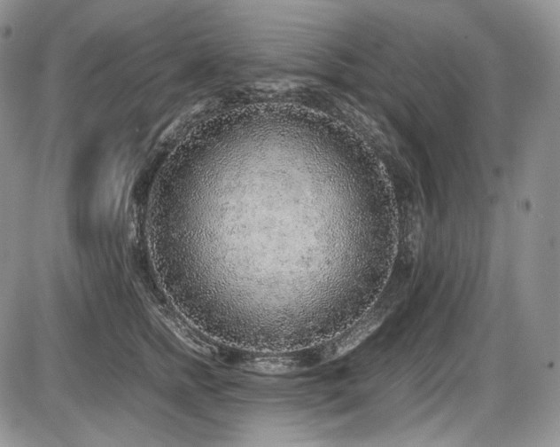 X0000087600758200704271332