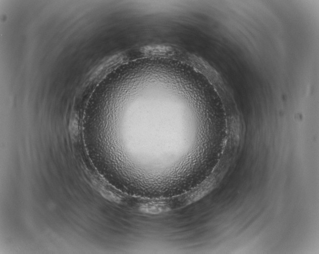 X0000087600761200704271332