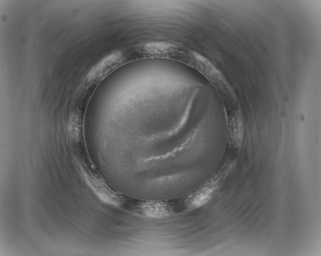 X0000087600762200704271332