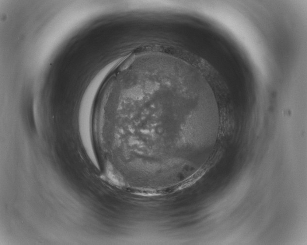 X0000087600765200704271332