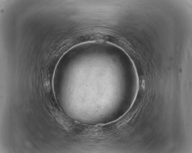 X0000087600771200704271331