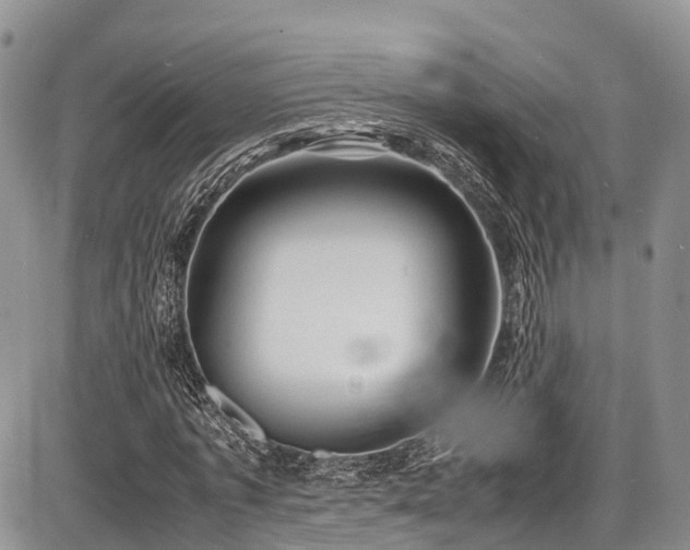 X0000087600773200704271331