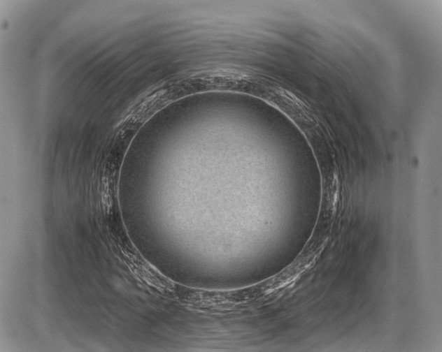 X0000087600774200704271331