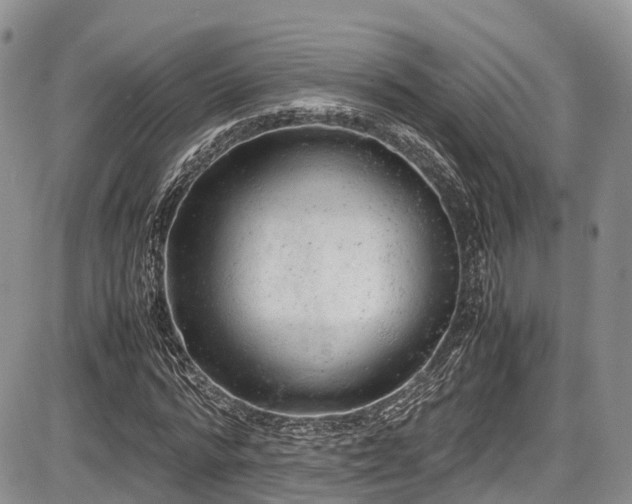 X0000087600776200704271331