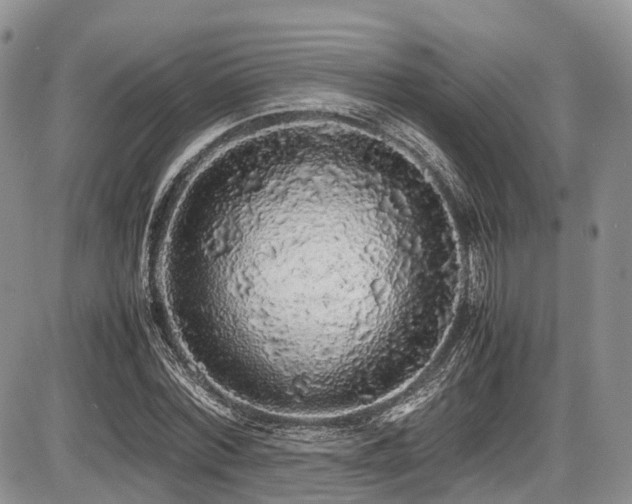 X0000087600780200704271331