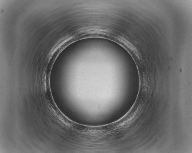 X0000087600782200704271331
