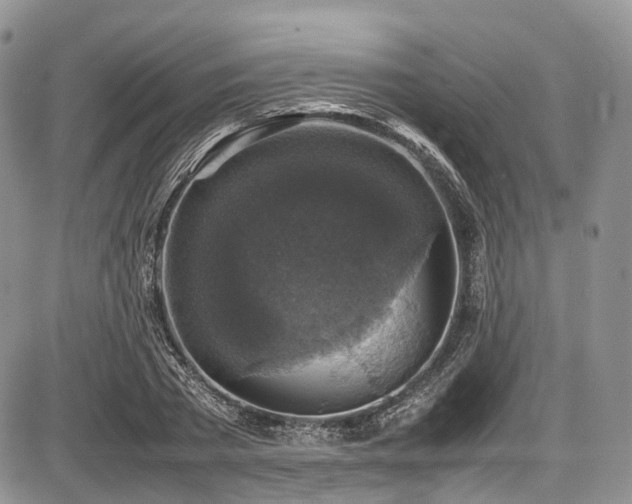 X0000087600785200704271331