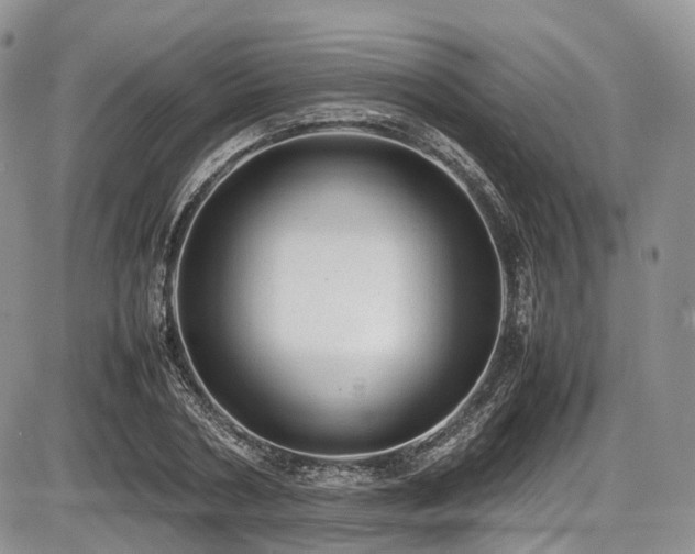 X0000087600786200704271331