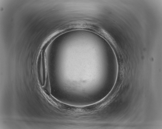 X0000087600787200704271331