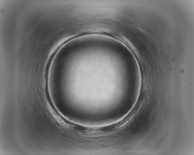 X0000087600795200704271331
