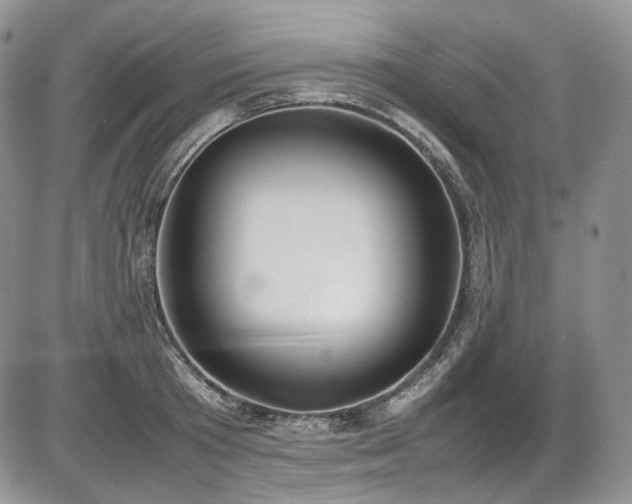 X0000087600801200704271331