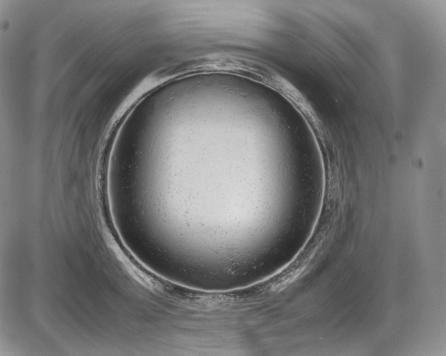 X0000087600803200704271331