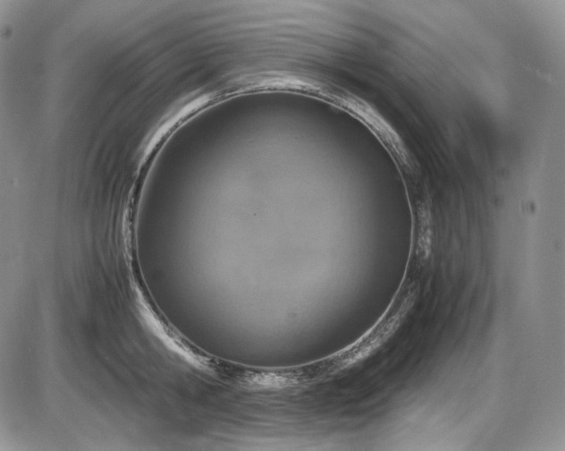 X0000087600806200704271331