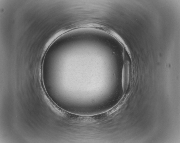 X0000087600811200704271331