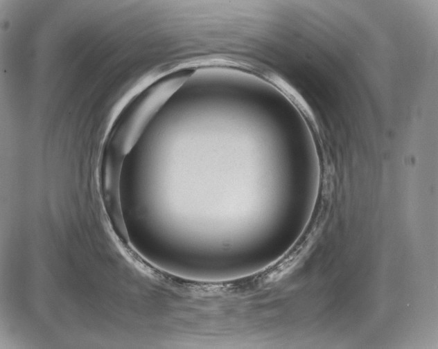 X0000087600813200704271331