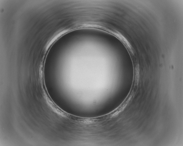 X0000087600814200704271331