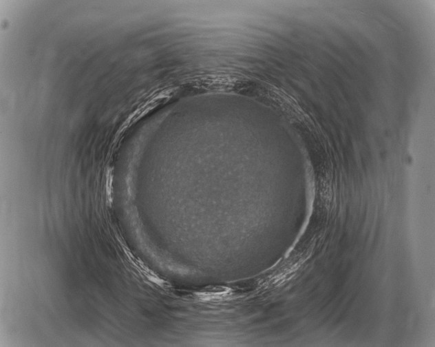 X0000087600818200704271330
