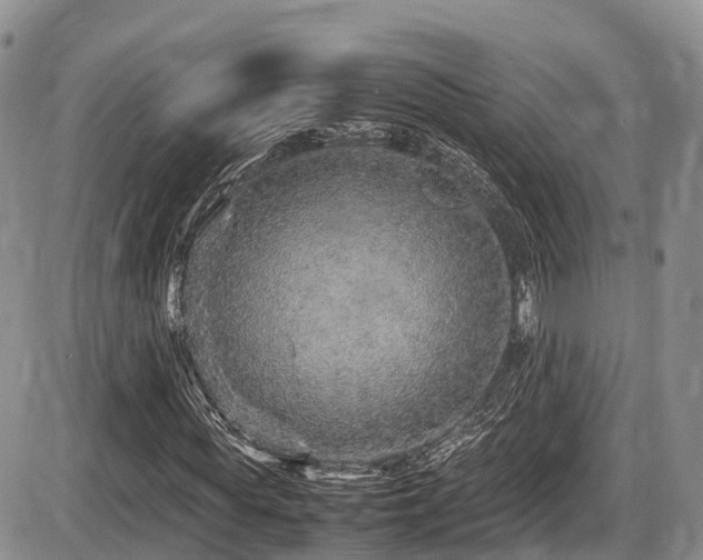 X0000087600819200704271330