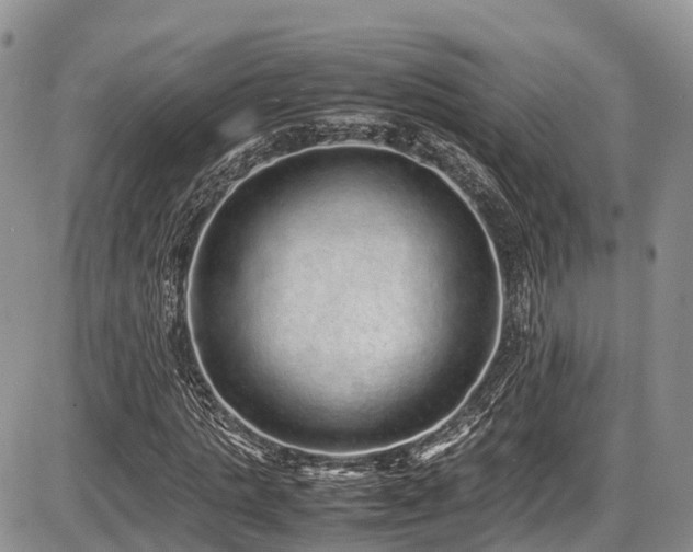 X0000087600821200704271330