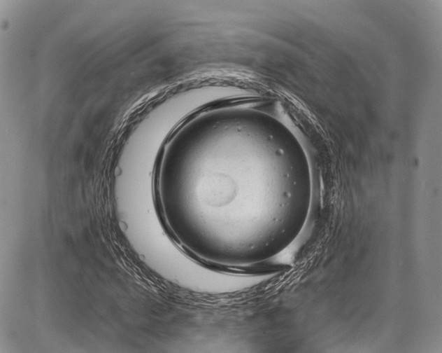 X0000087600824200704271330