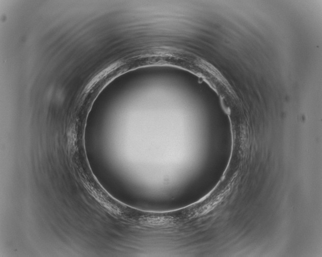 X0000087600826200704271330