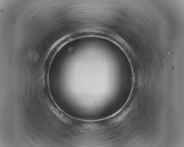 X0000087600830200704271330