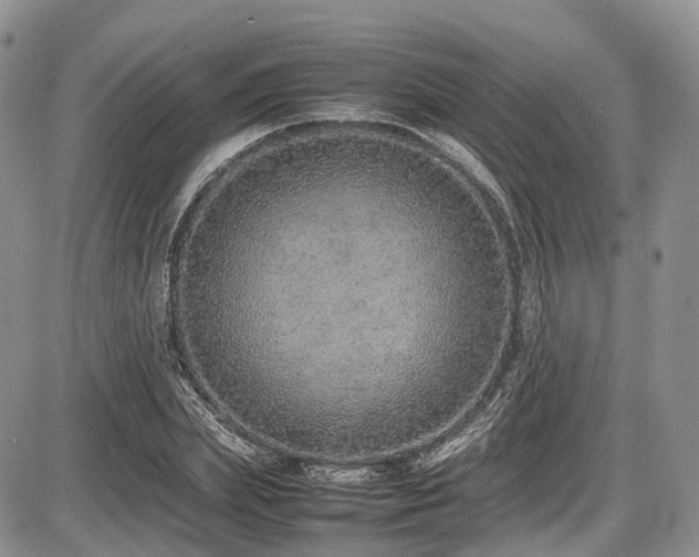 X0000087600831200704271330