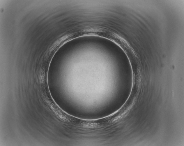 X0000087600833200704271330