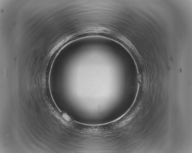 X0000087600834200704271330