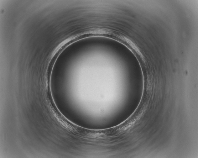 X0000087600837200704271330
