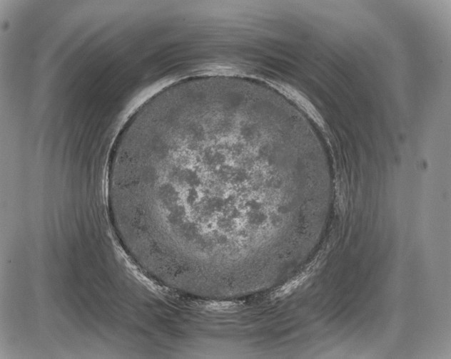 X0000087600839200704271330