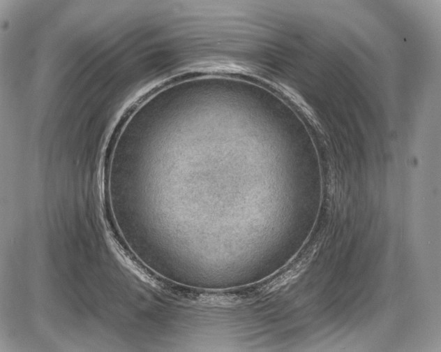 X0000087600840200704271330