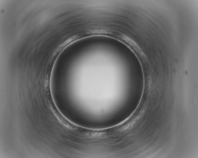 X0000087600841200704271330