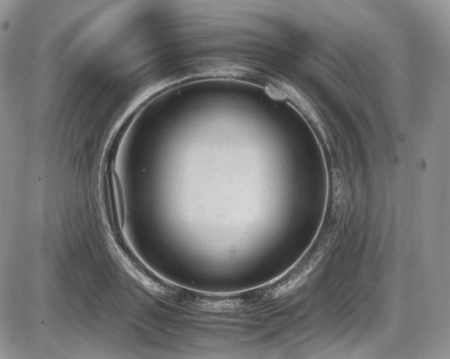 X0000087600843200704271330