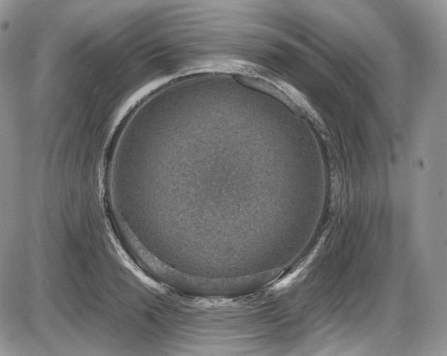 X0000087600846200704271330