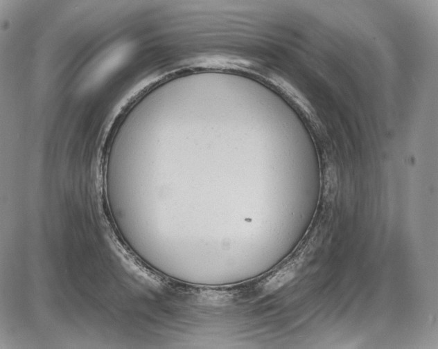 X0000087600848200704271330