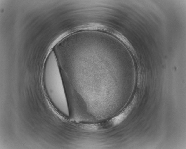 X0000087600850200704271330