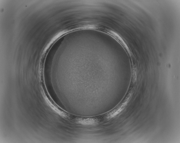 X0000087600851200704271330