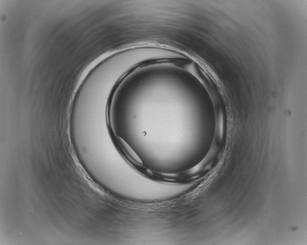 X0000087600854200704271330