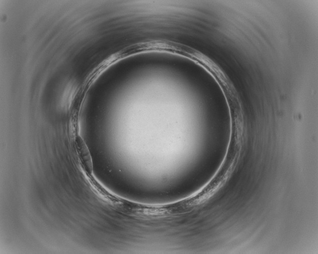 X0000087600857200704271330