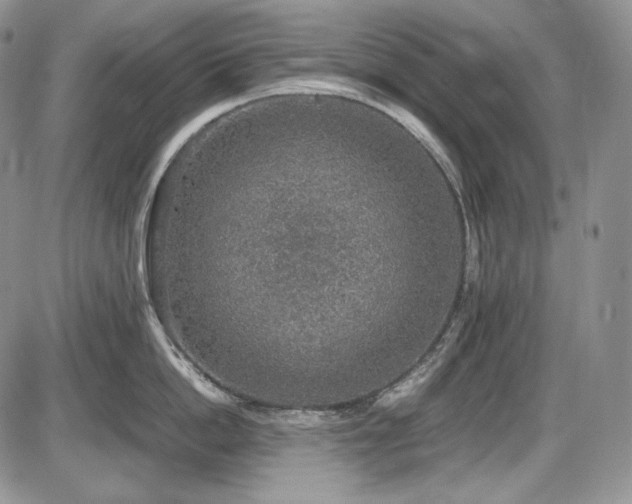 X0000087600862200704271330