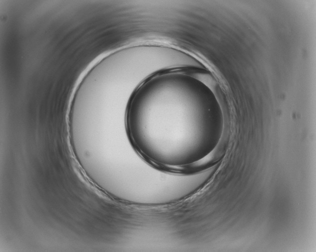 X0000087600864200704271331