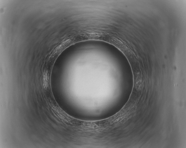 X0000087600866200704271330