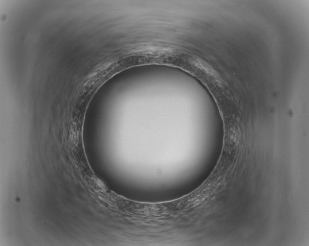 X0000087600869200704271330