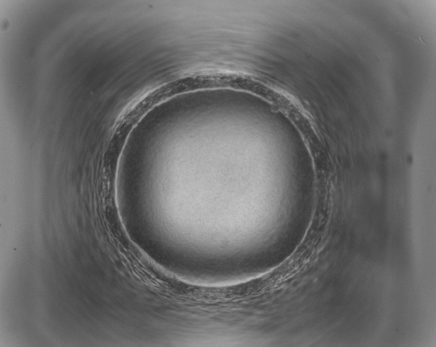 X0000087600871200704271330