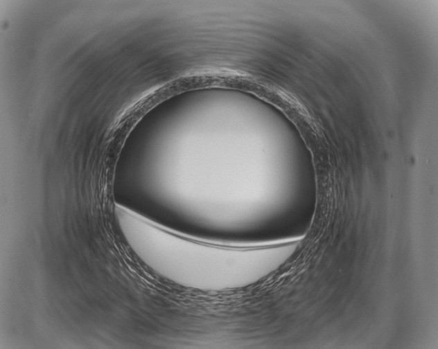 X0000087600872200704271330