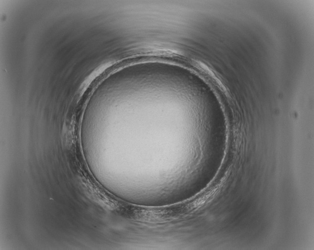 X0000087600875200704271330