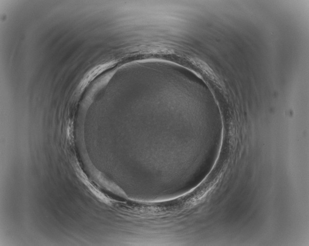 X0000087600881200704271329