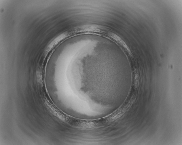 X0000087600882200704271329