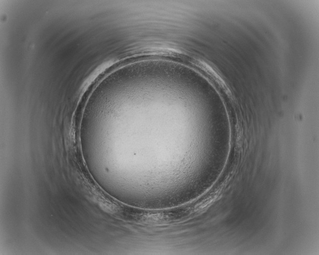 X0000087600883200704271329